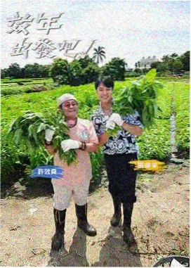 悬疑剧雾港第七码头档案缩略图